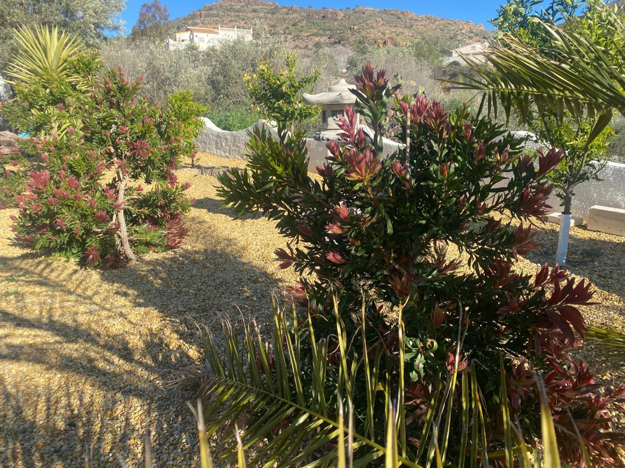 Cortijo Los Corazones Cantoria 外观 照片